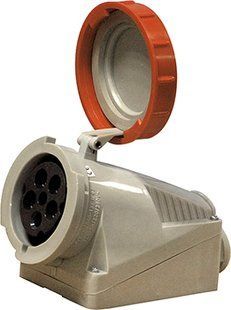Силова розетка стаціонарна 2Р+Z, 250В, 16А, IP67 2624-137 фото
