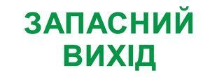 Значок "ЗАПАССНЫЙ ВЫХОД" для аварийных светильников e.emergency.exit.280.100 l0660089 фото